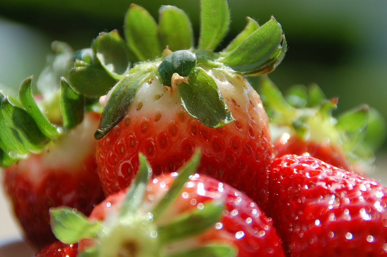 strawberries freshness flavor free photo