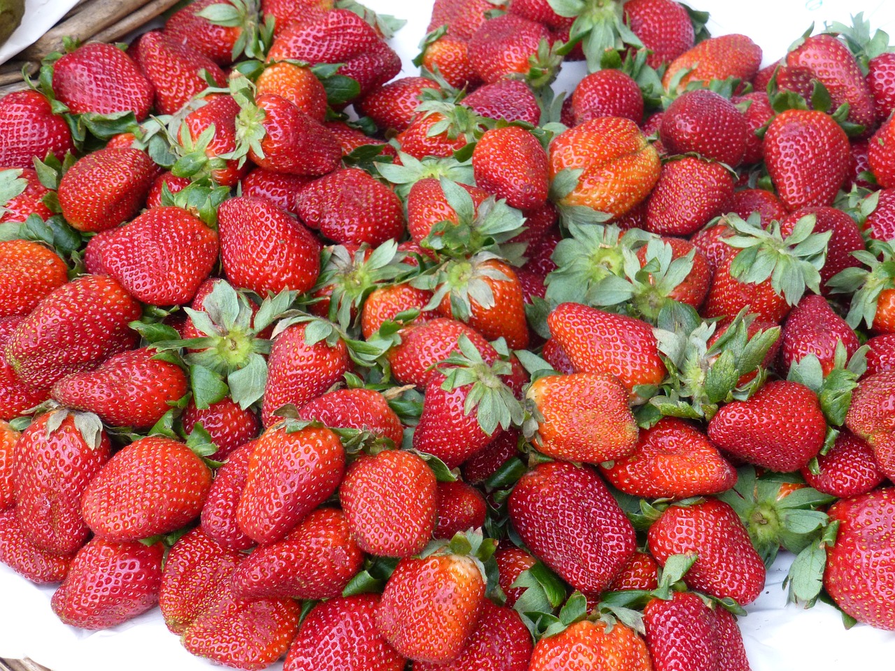 strawberries summer sweet free photo