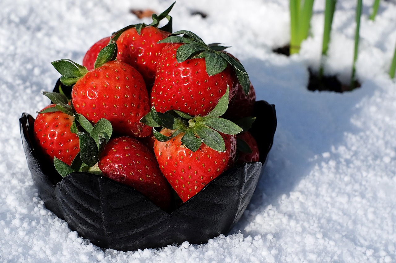 strawberries bowl appetizing free photo
