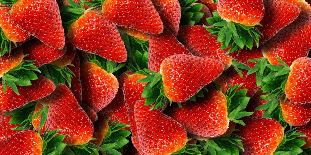 strawberries fruit berry free photo