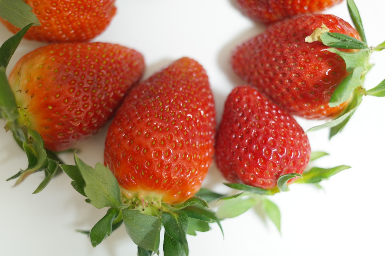 strawberries fruits red free photo