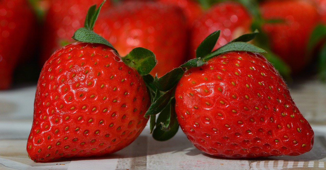 strawberries fruit close free photo