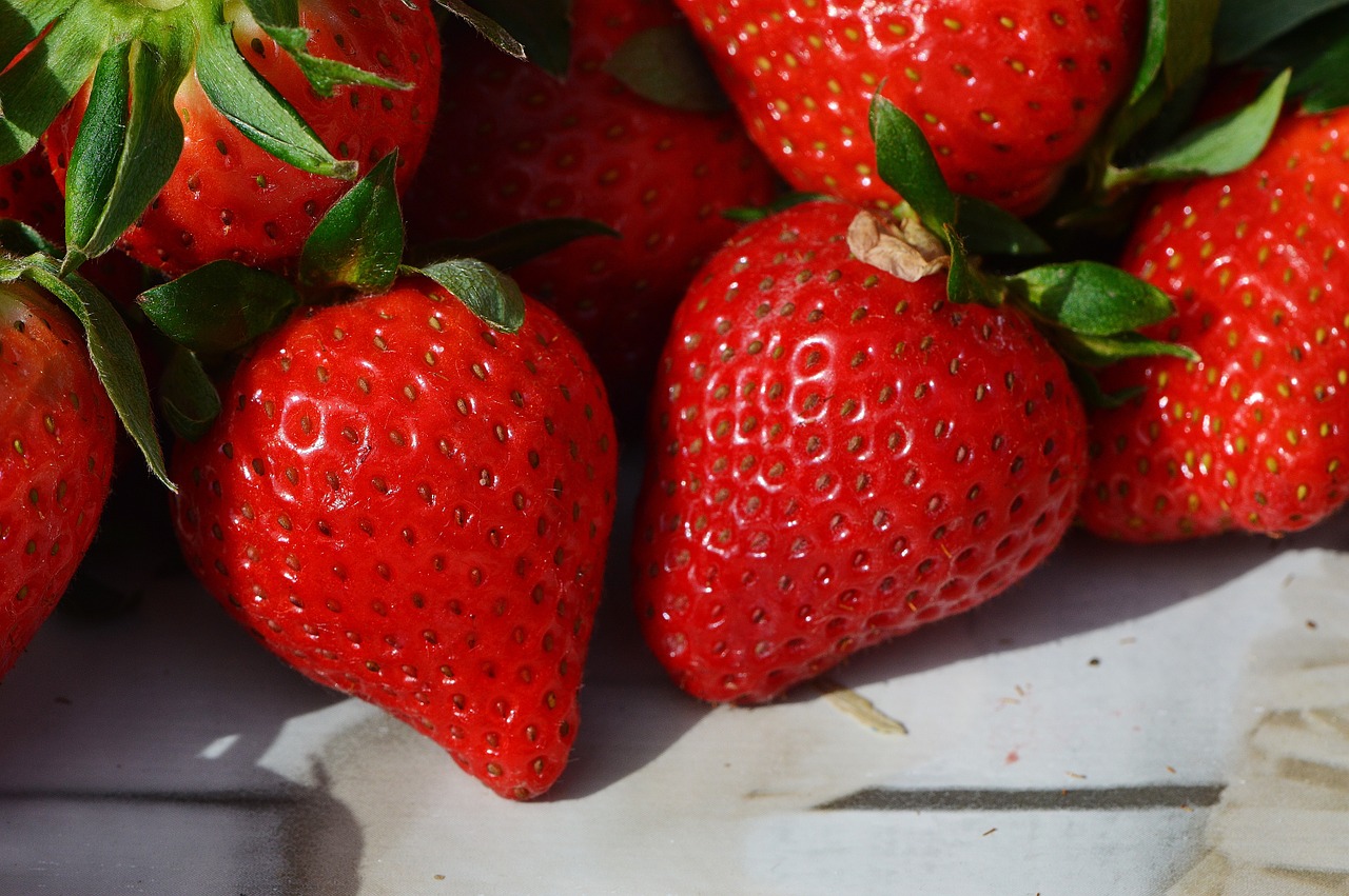 strawberries fruit close free photo