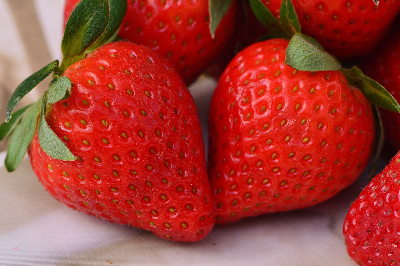 strawberries fruit close free photo