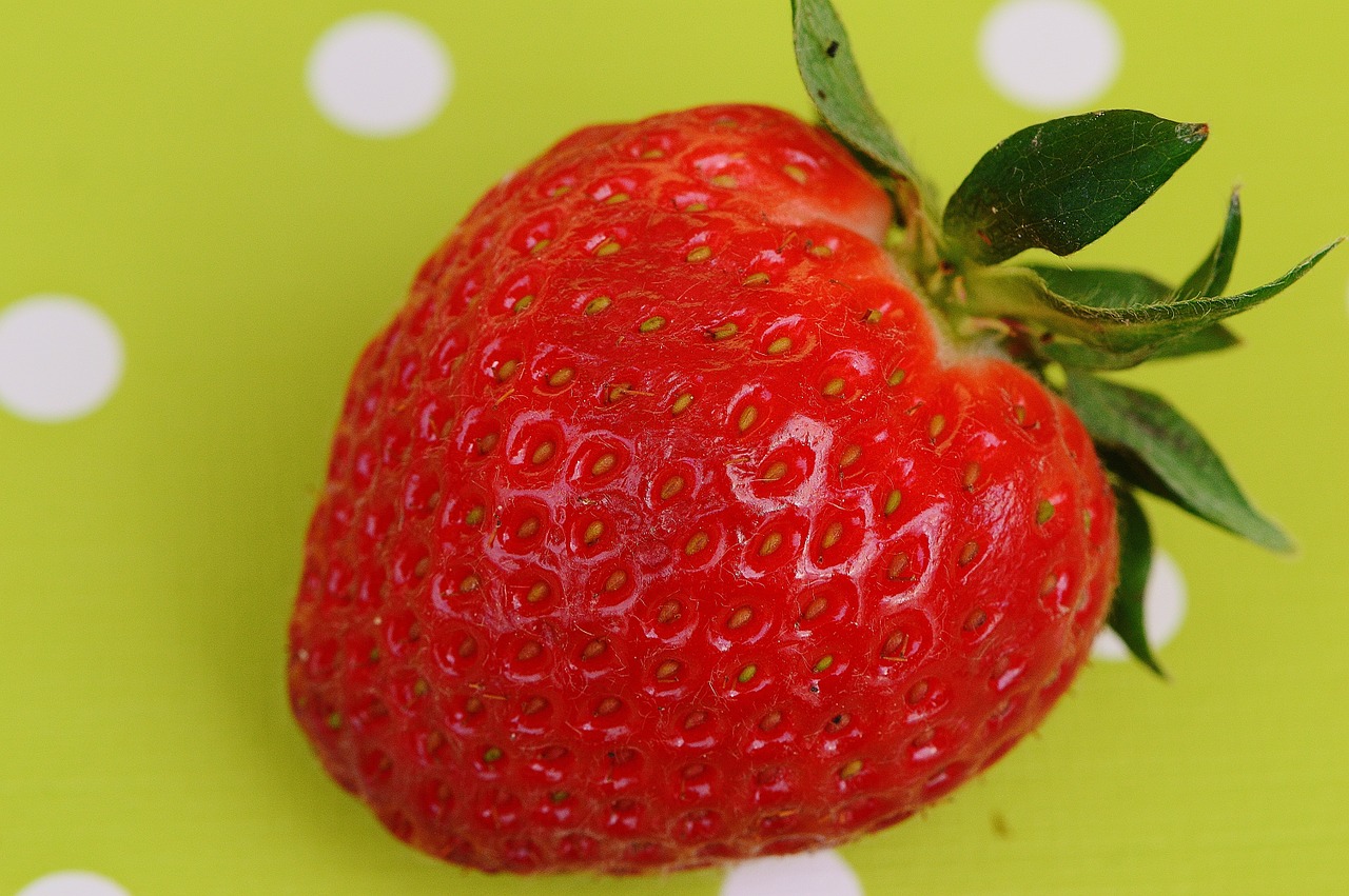 strawberries fruit close free photo