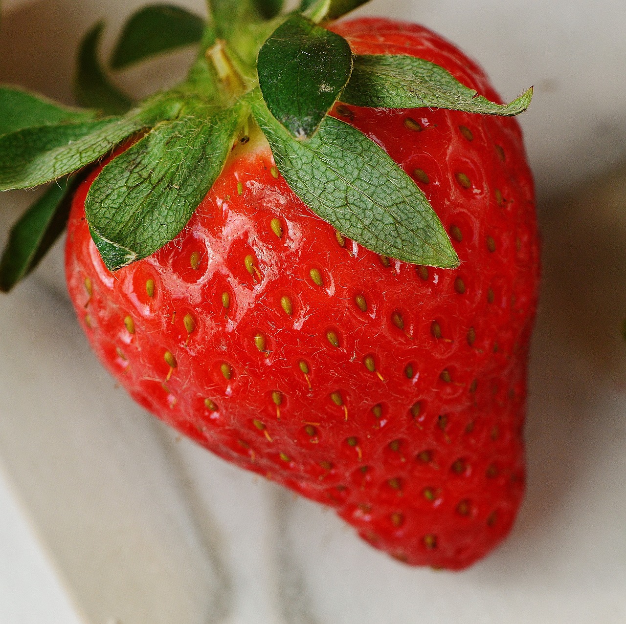 strawberries fruit close free photo