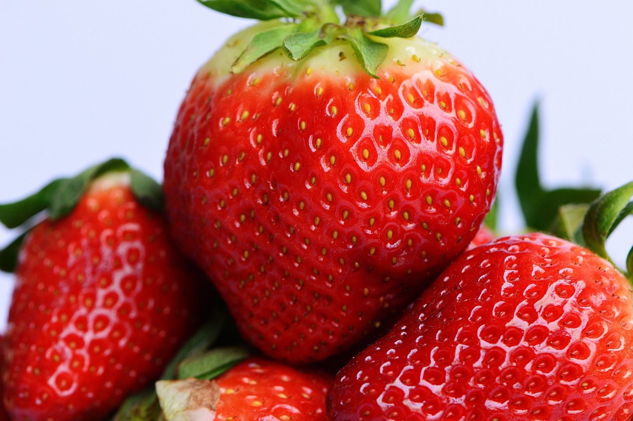 strawberries fruit close free photo