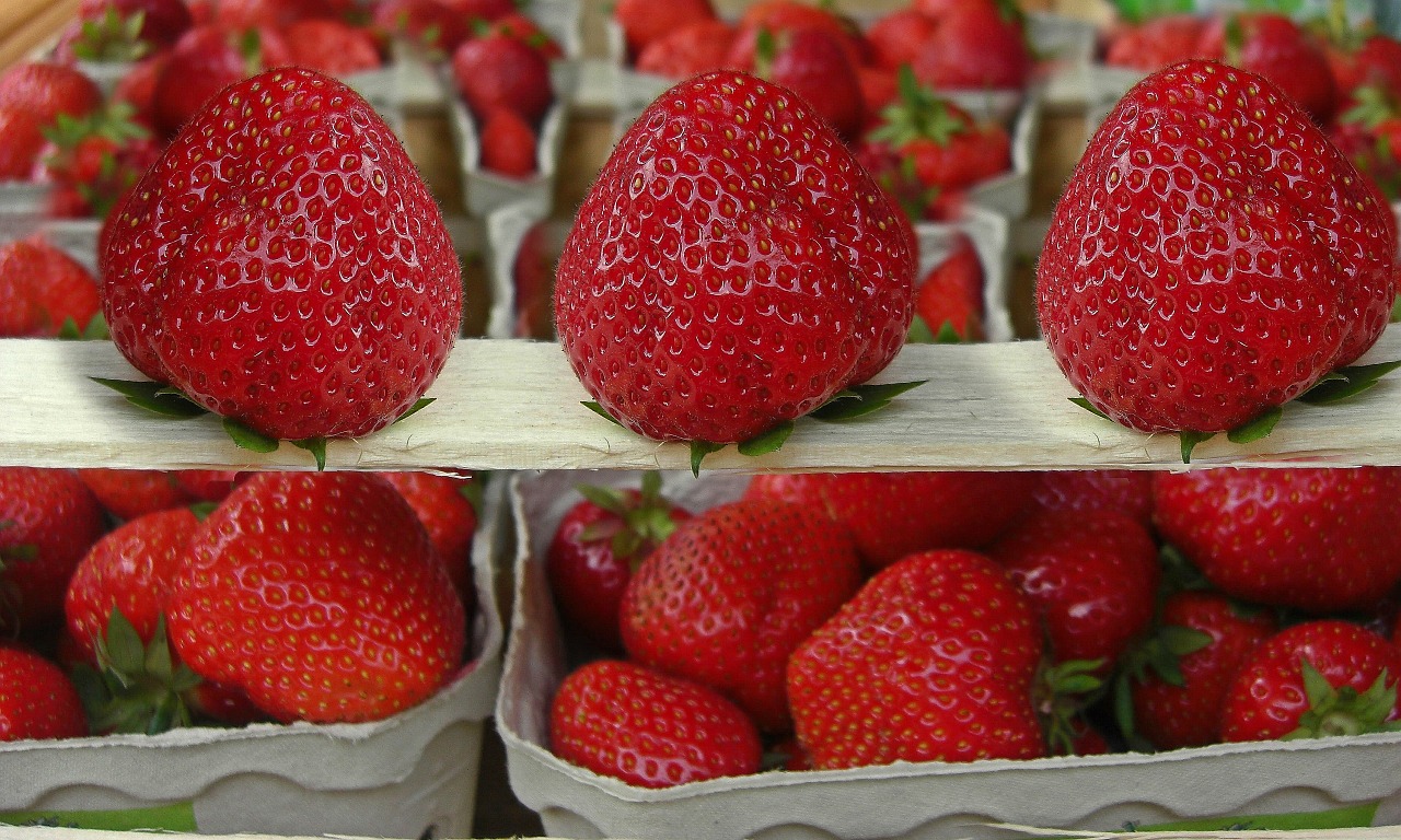 strawberries red fruit free photo