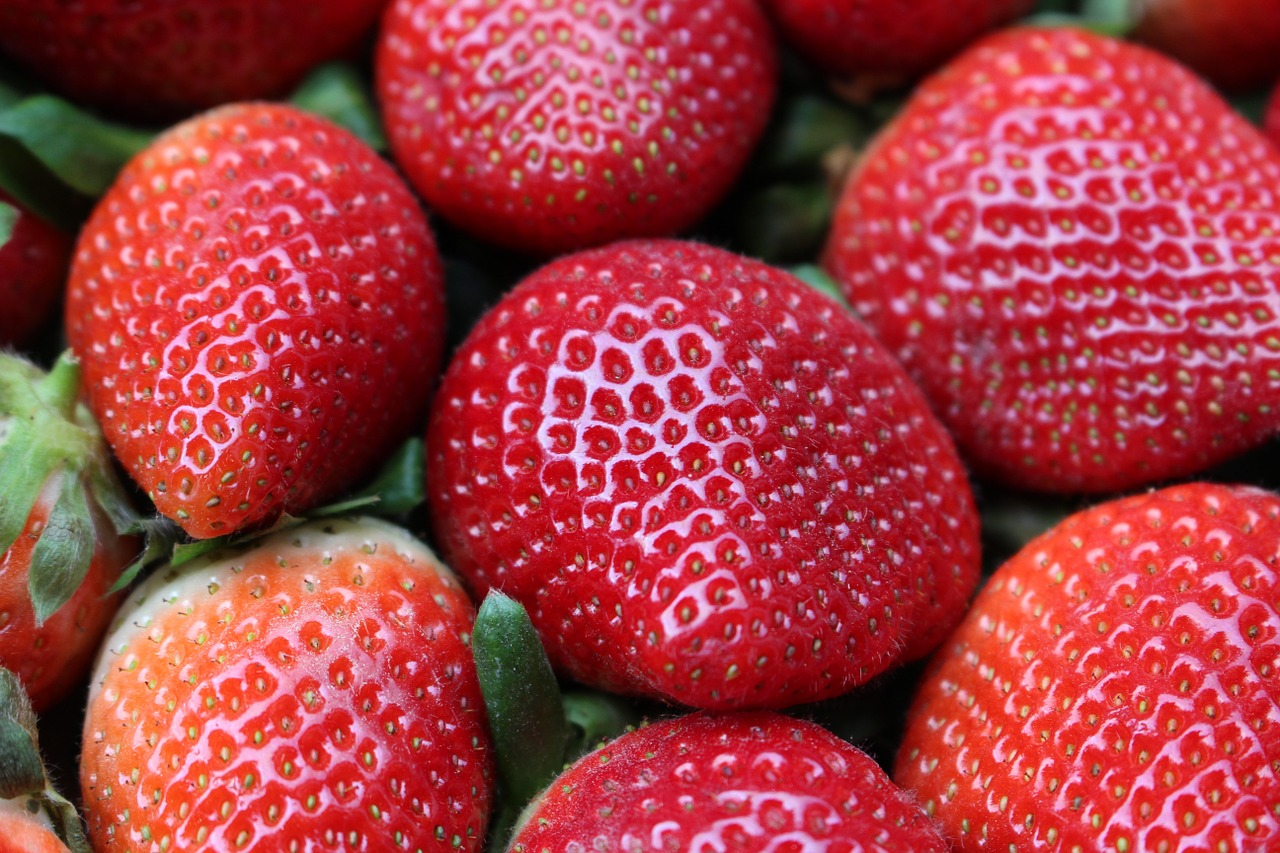 strawberries fruit red free photo