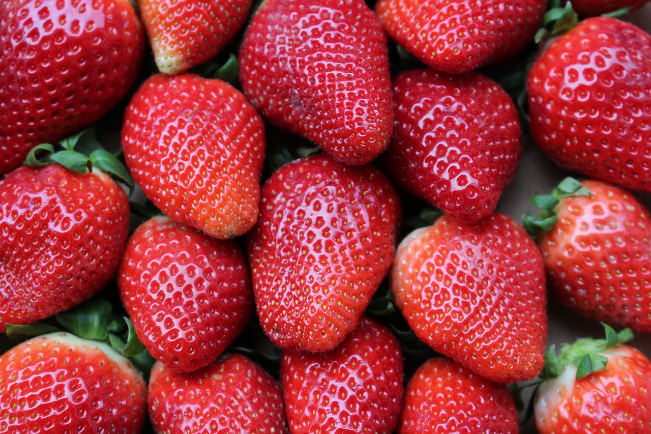 strawberries fruit red free photo