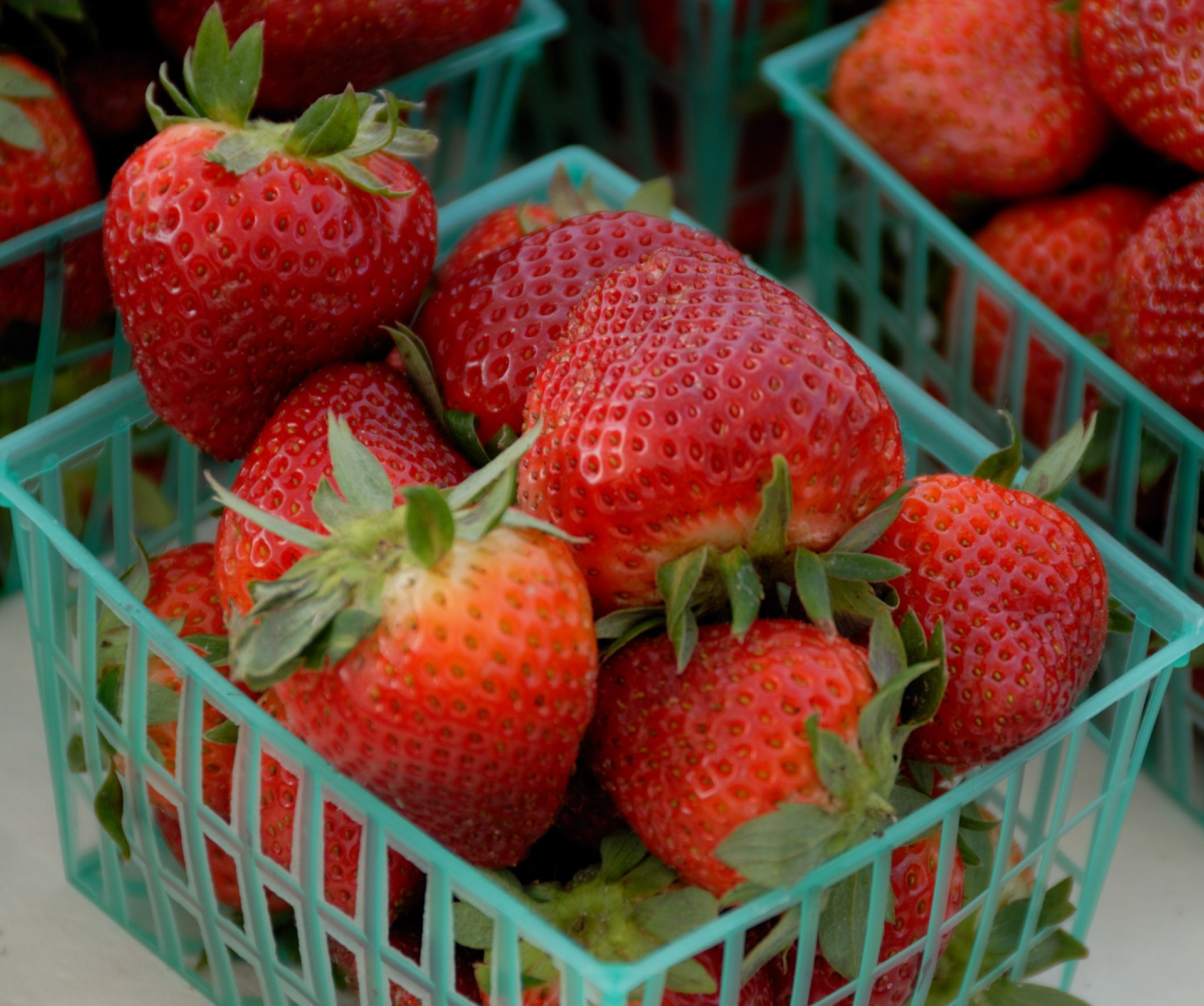 strawberries for sale market free photo