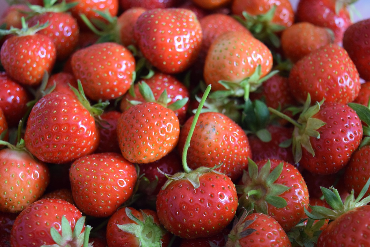 strawberries red delicious free photo