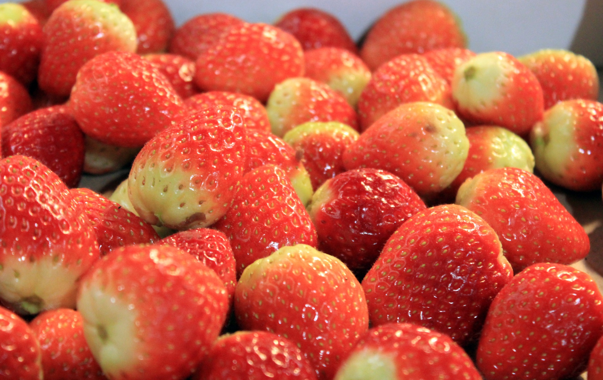 strawberries fruits red free photo