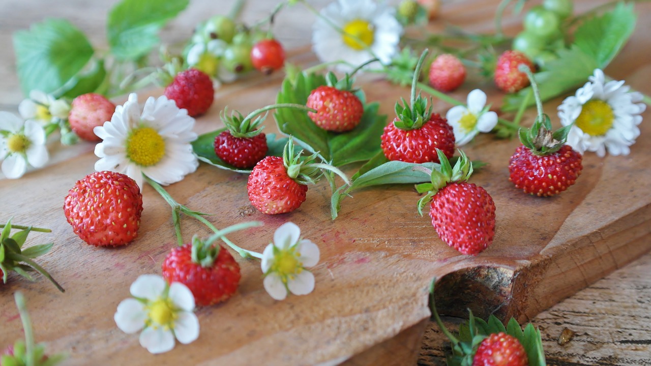 strawberries wild strawberries daisy free photo