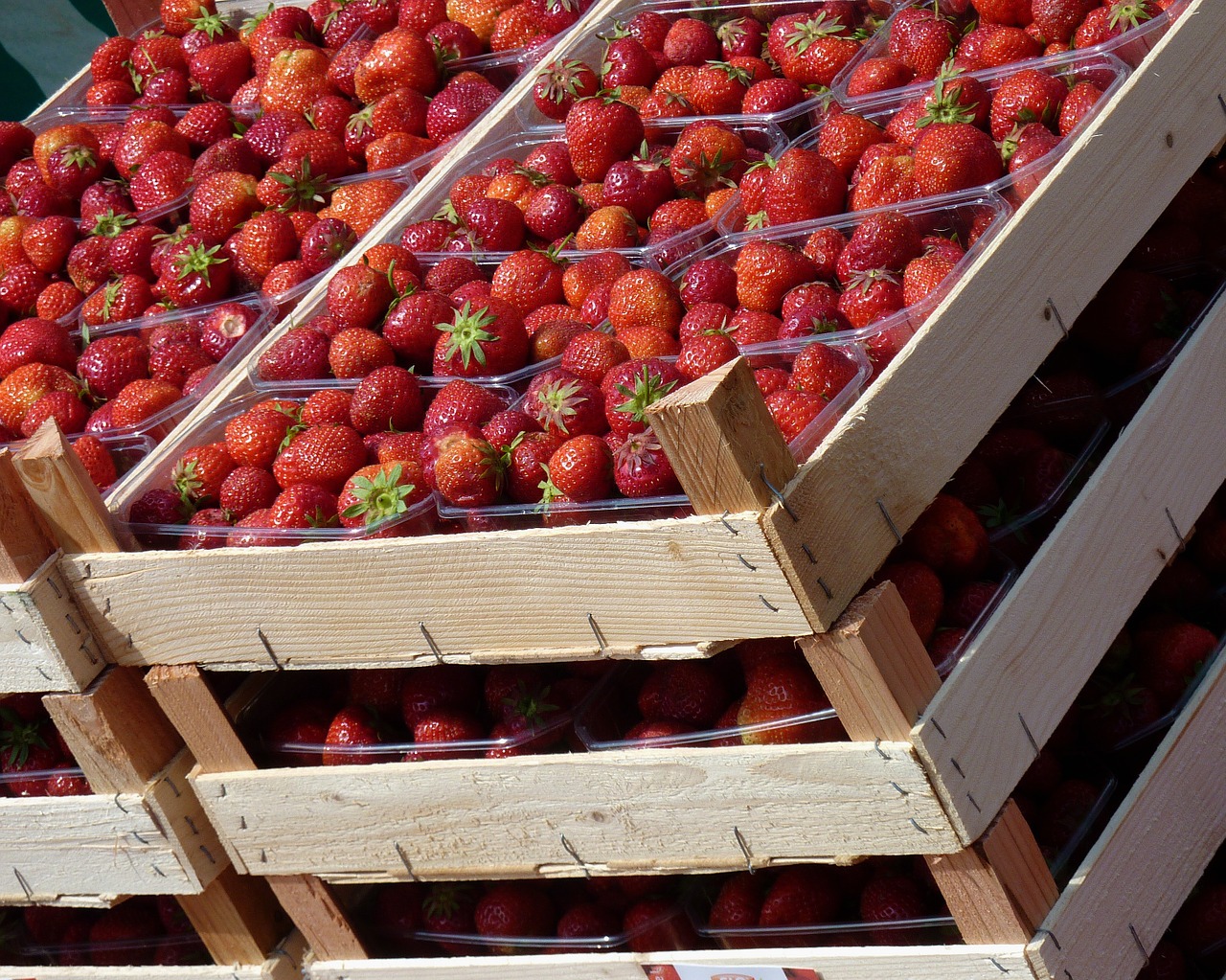 strawberries fruit fruits free photo