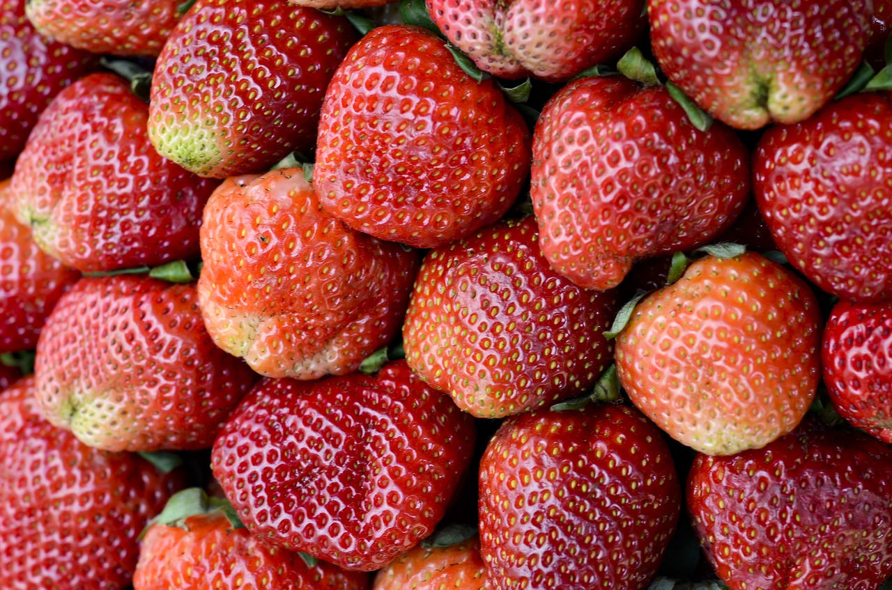 strawberries red dalat free photo