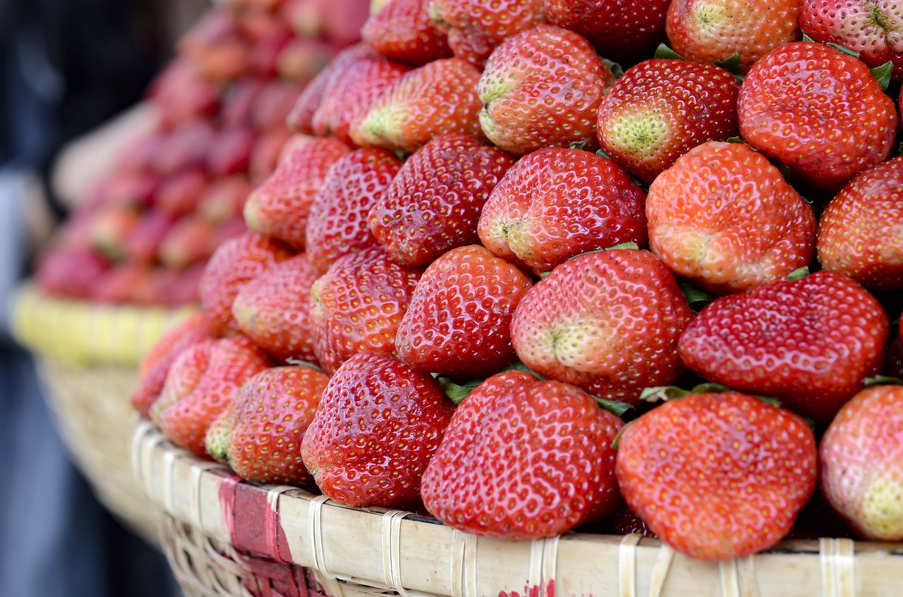 strawberries red dalat free photo