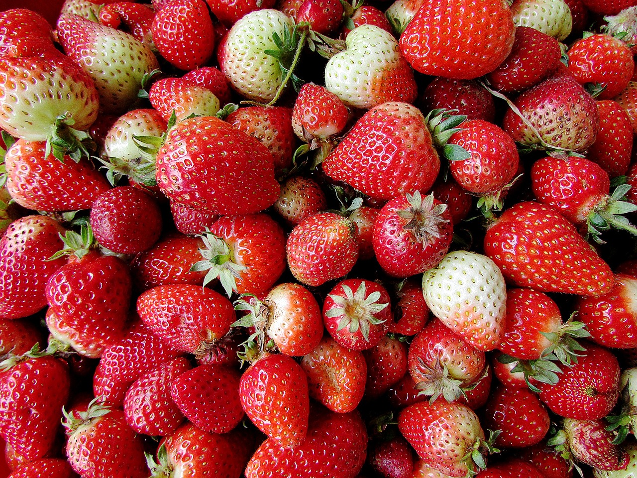 strawberries fruit red free photo