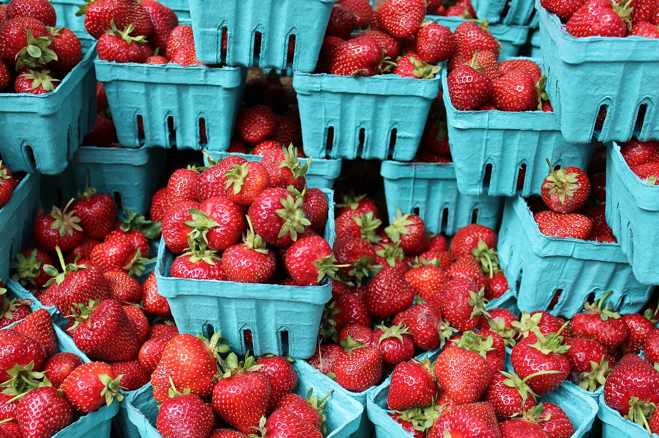 strawberries berries fresh free photo