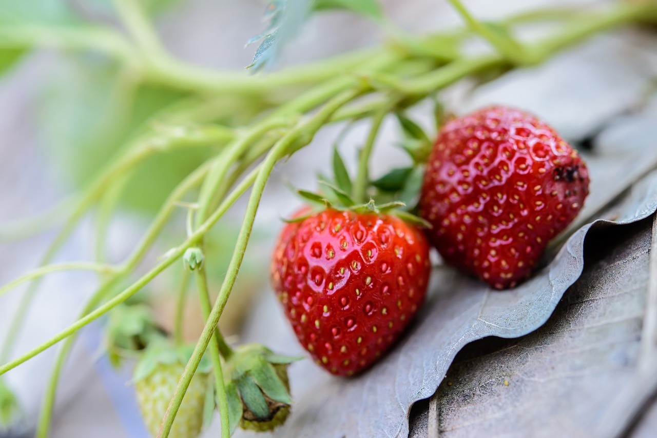 strawberries fresh strawberry free photo