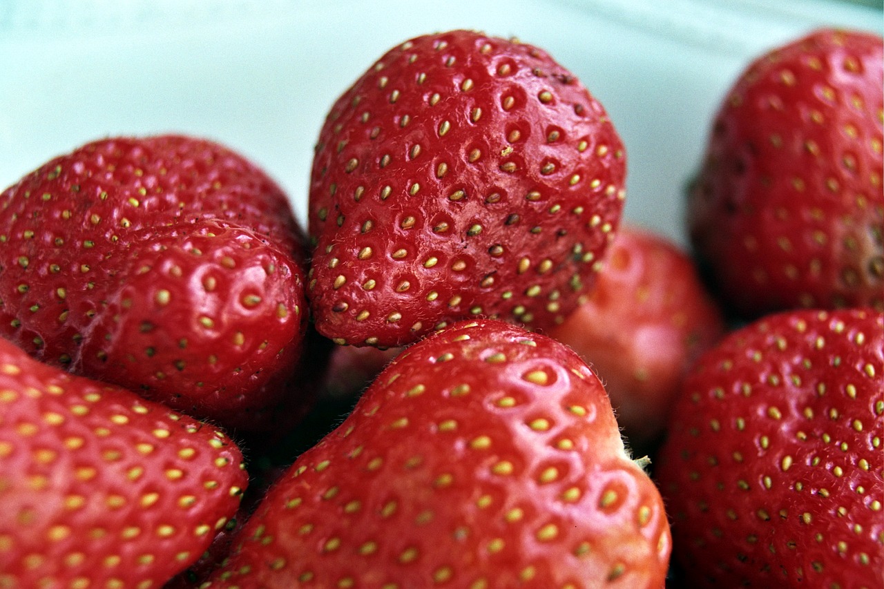 strawberries red fruit free photo