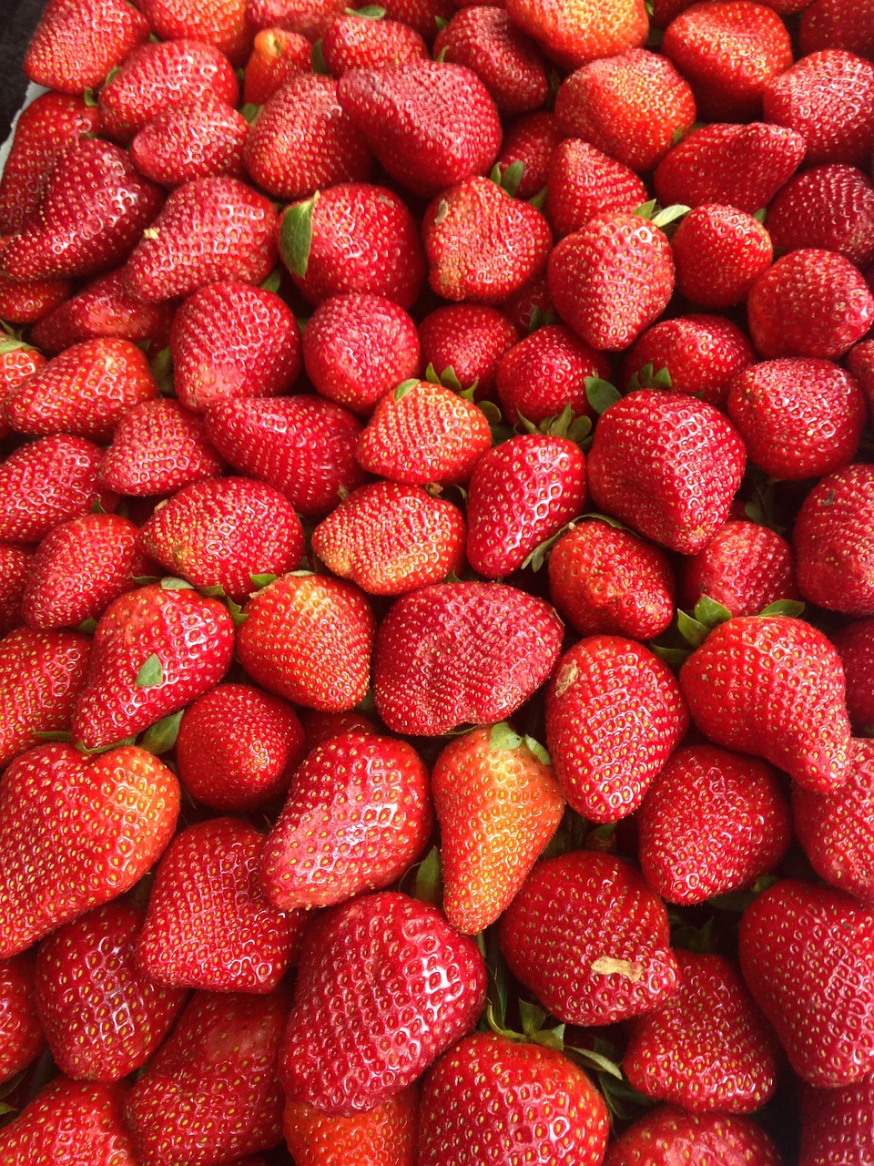strawberries strawberry dessert free photo