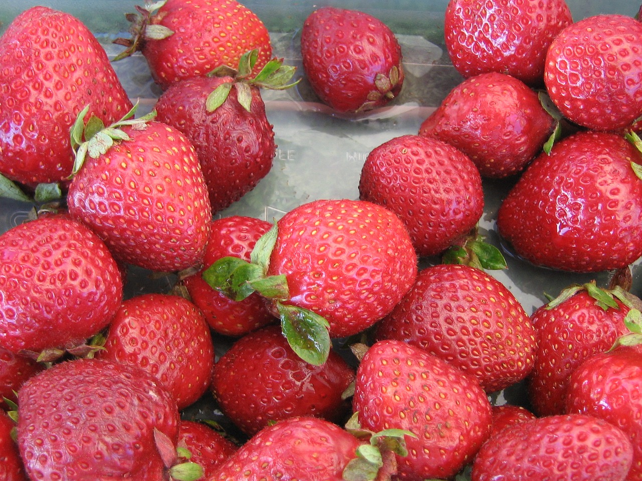 strawberries fruit berry free photo