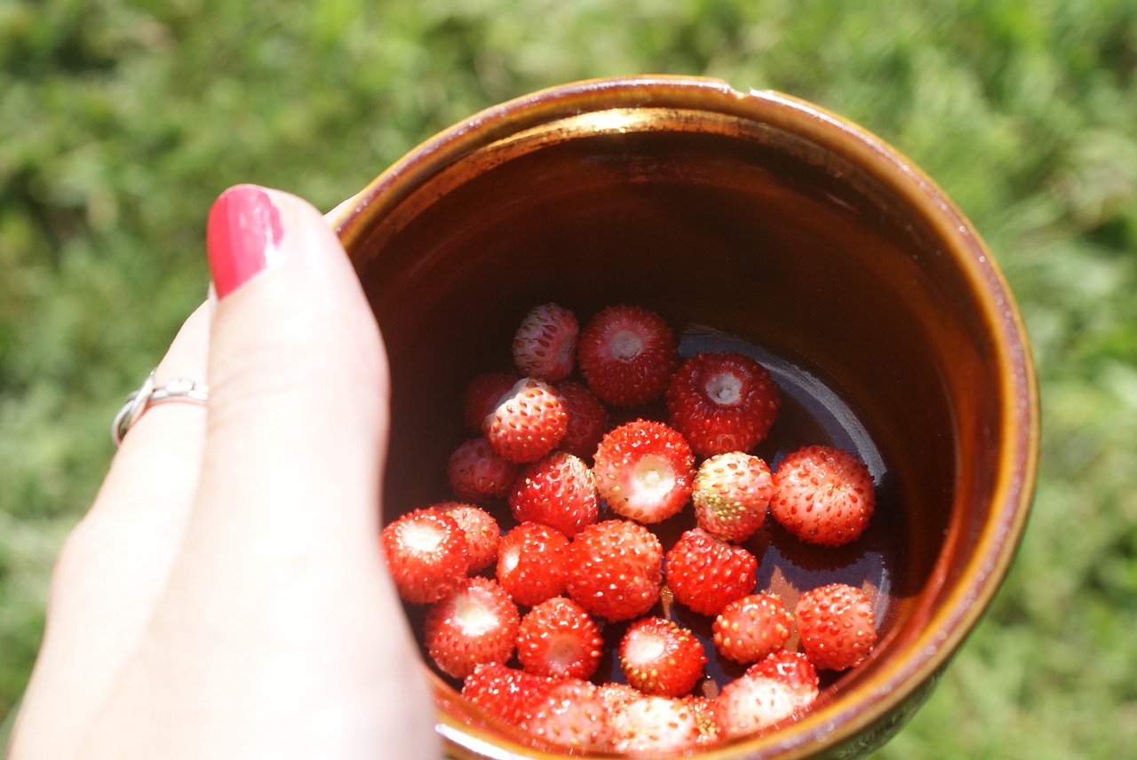 strawberries fruit wild fruits free photo