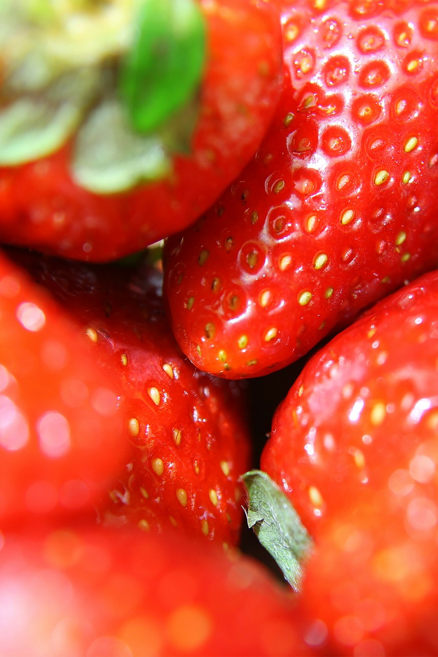 strawberries close-up strawberry free photo