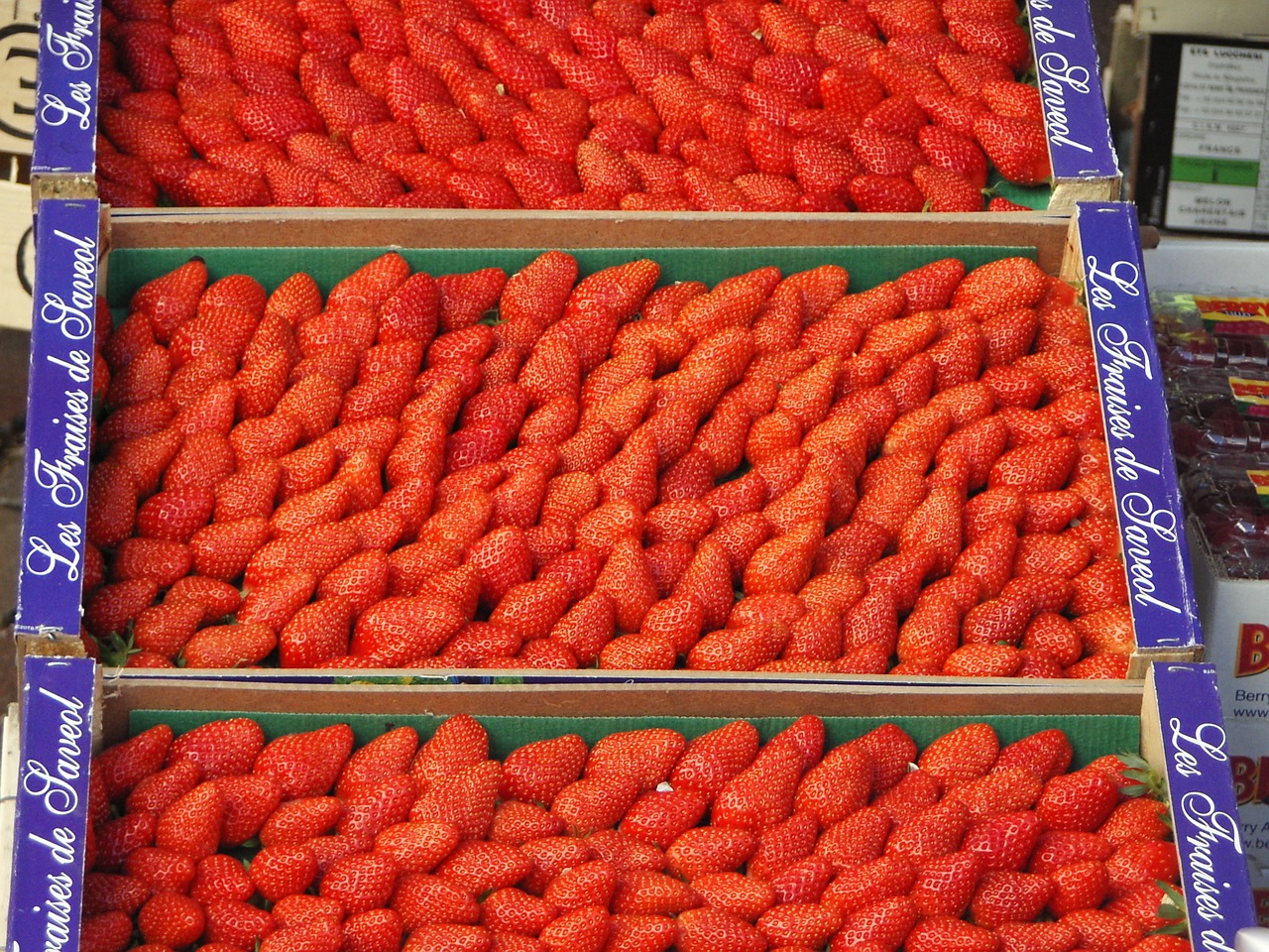 strawberries market red free photo
