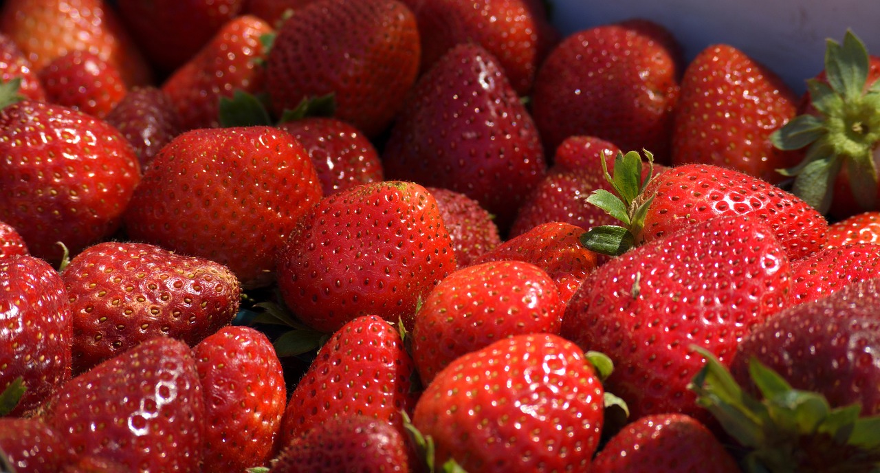 strawberries fruit food free photo