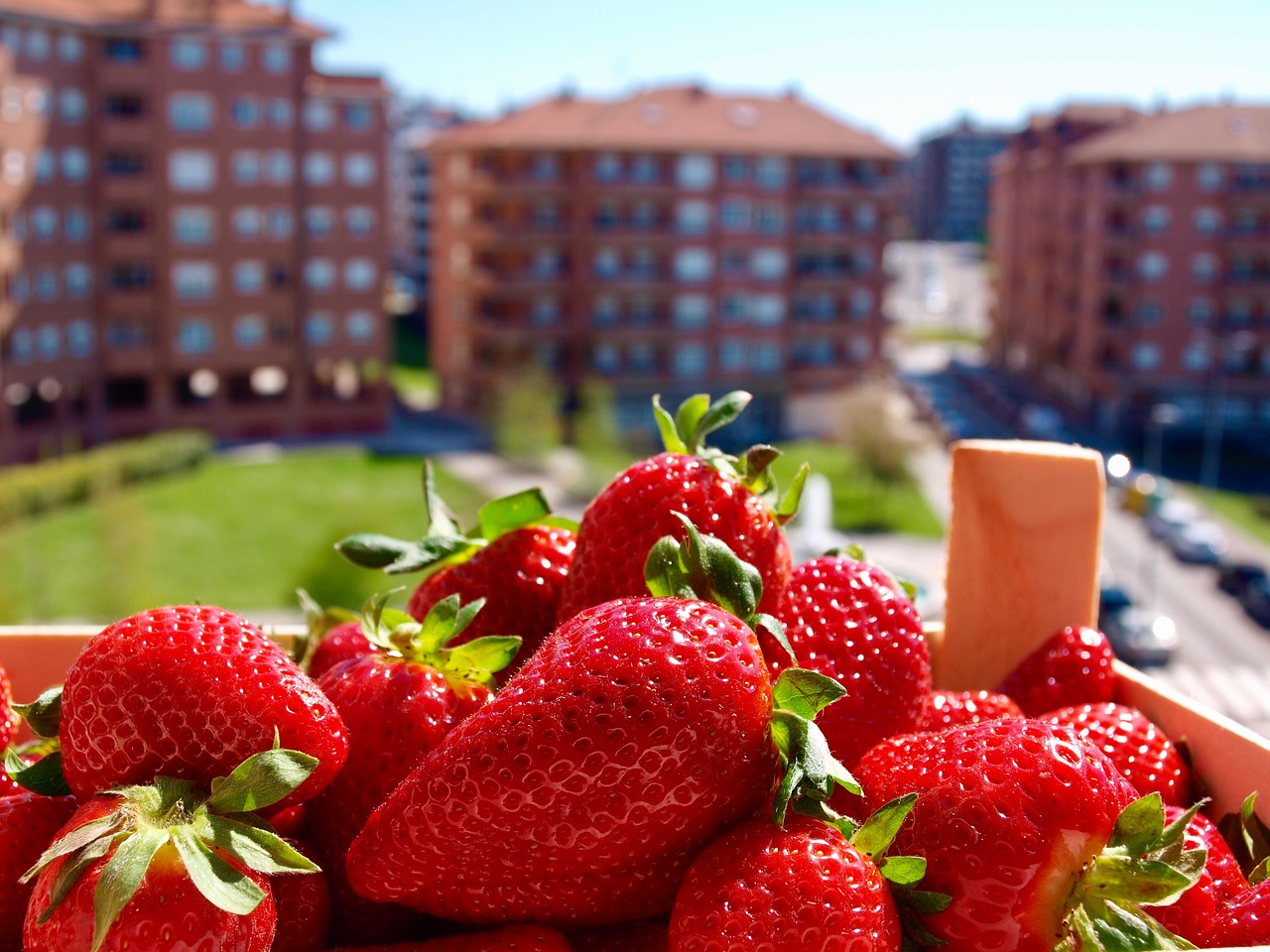 strawberries summer fruit free photo