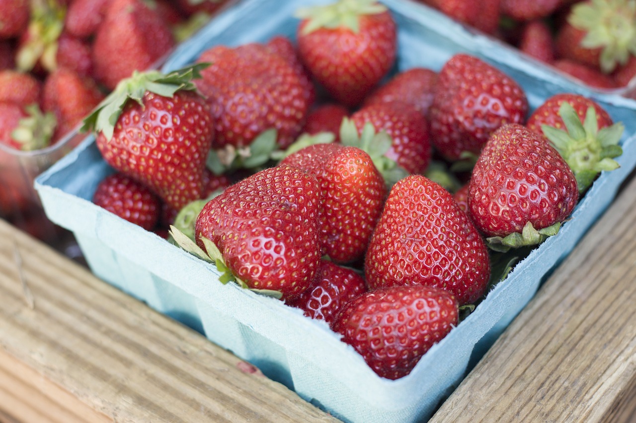 strawberries garden organic free photo