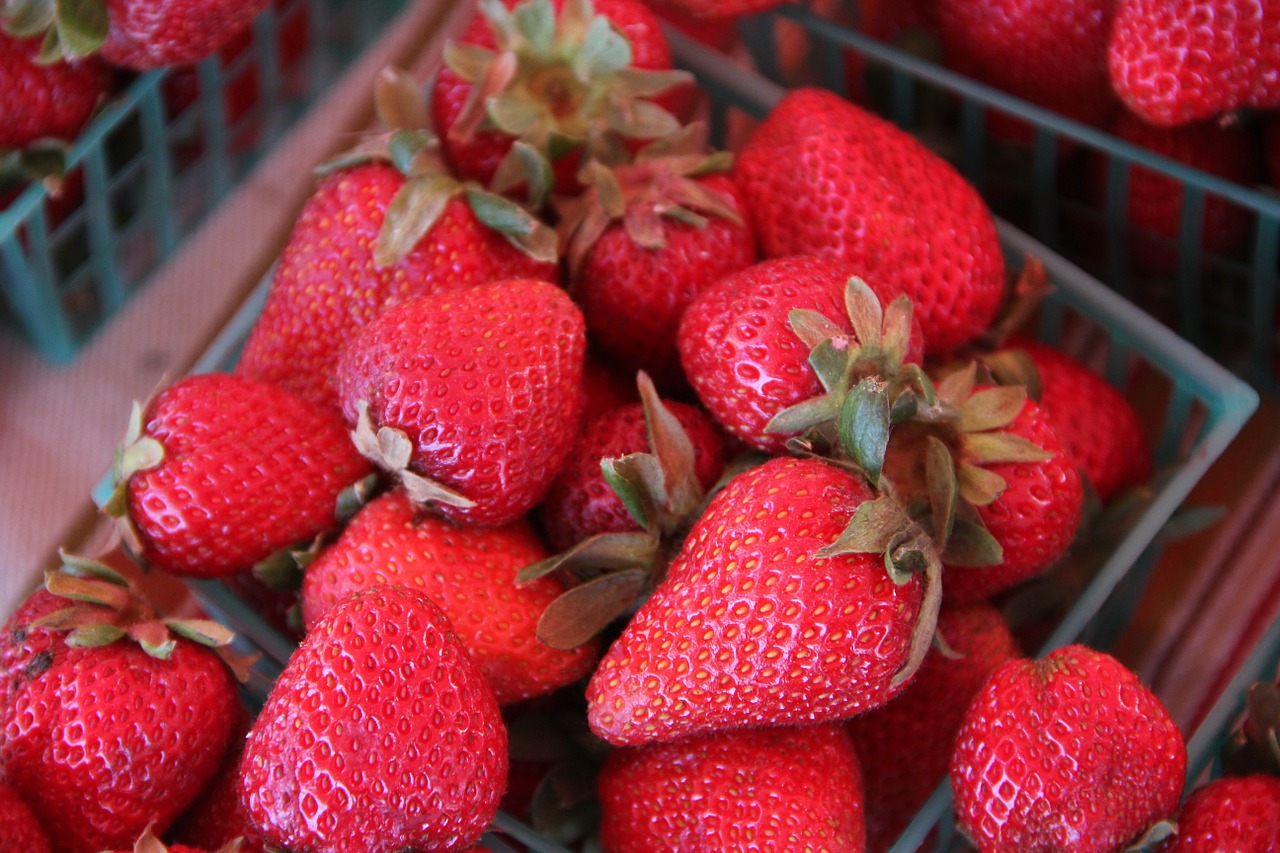 strawberries berries fresh free photo