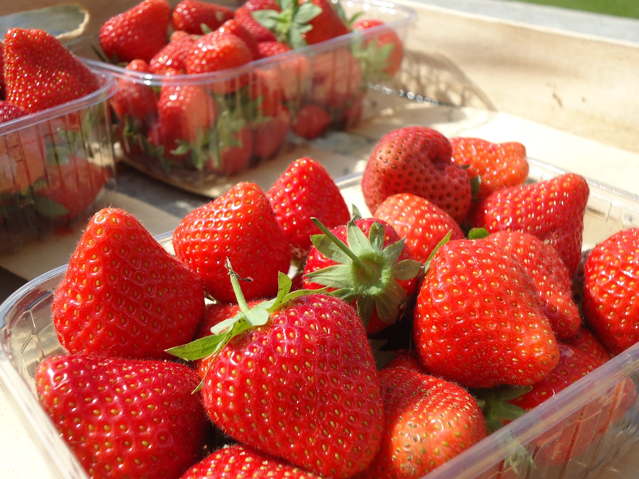 strawberries spring summer free photo