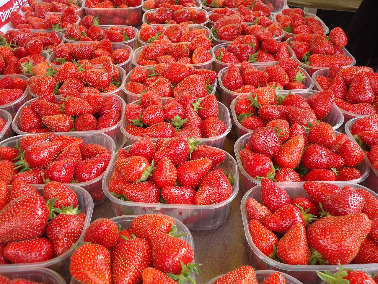 strawberries fruit market free photo