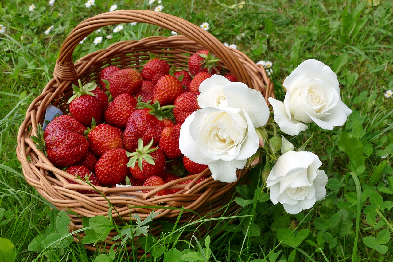 strawberries white roses willow basket free photo