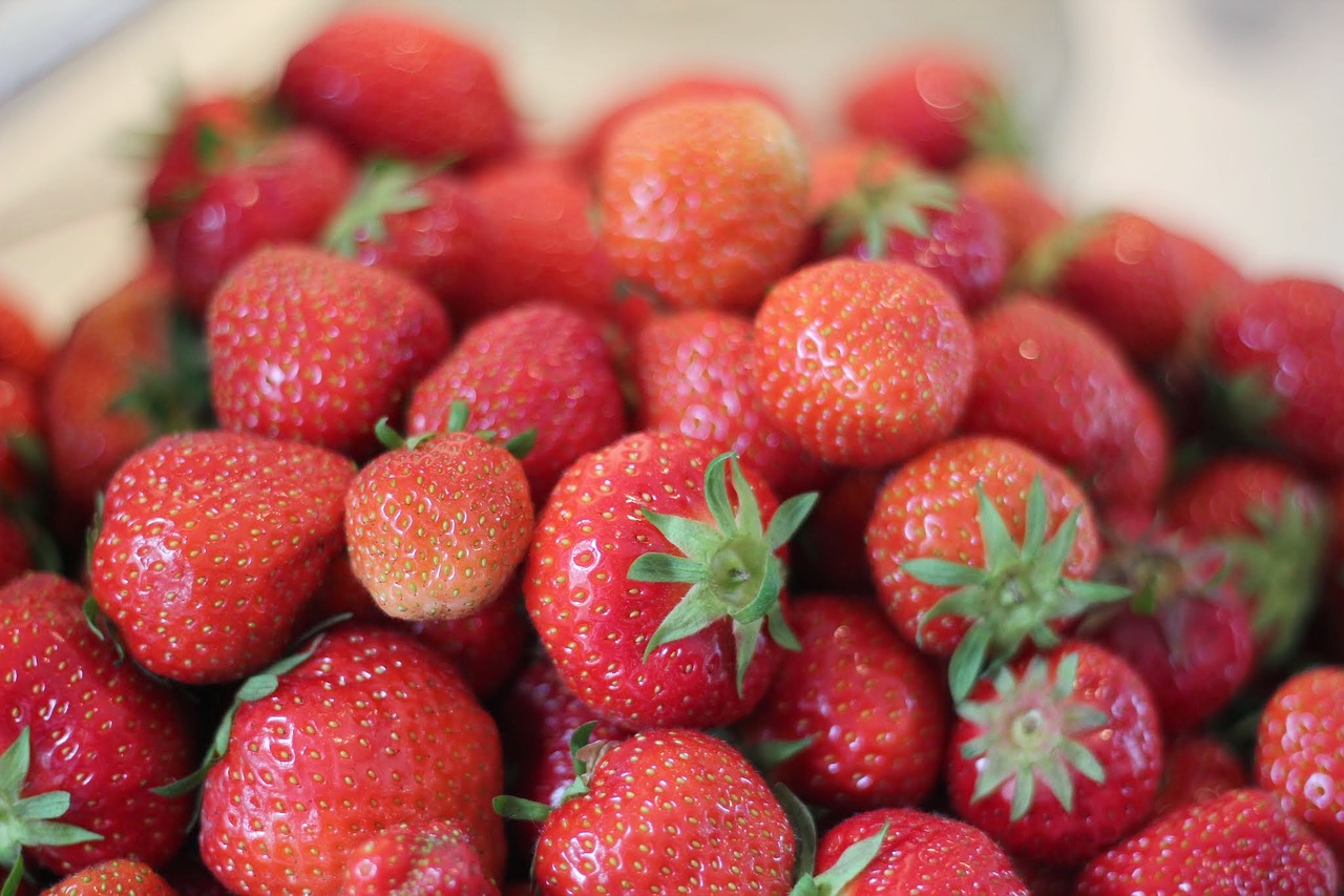 strawberries summer midsummer free photo