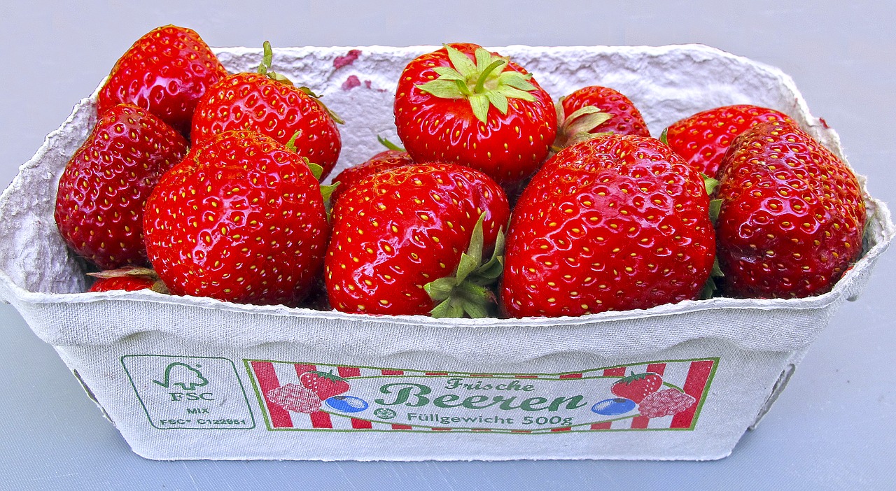 strawberries shell berries free photo