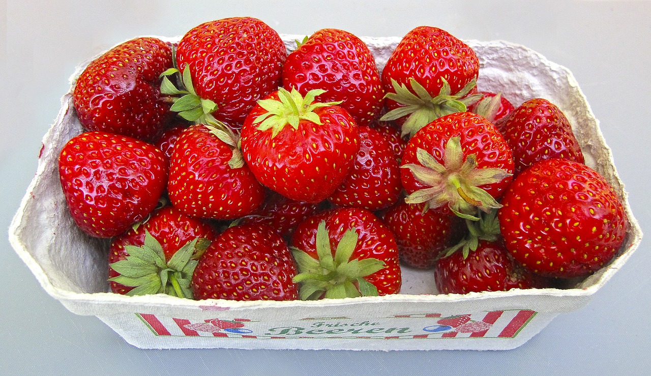 strawberries shell berries free photo