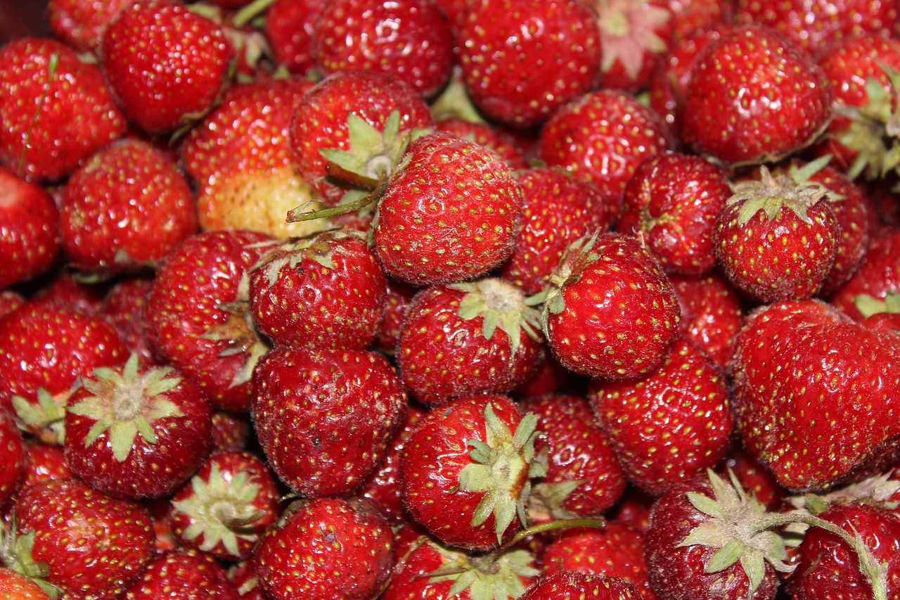 strawberries village summer free photo