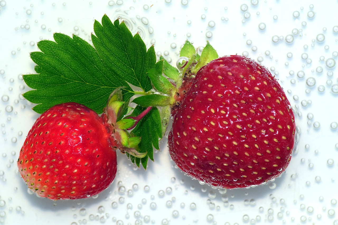 strawberries red sweet free photo