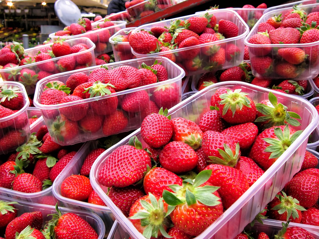 strawberries fresh market free photo