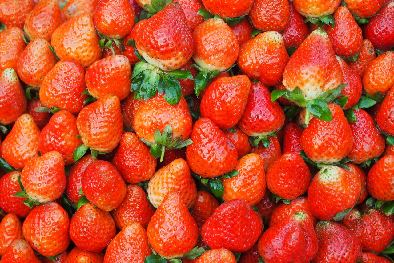 strawberries strawberry pie collection free photo