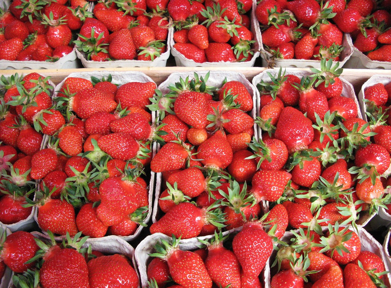 strawberries harvest farmers local market free photo