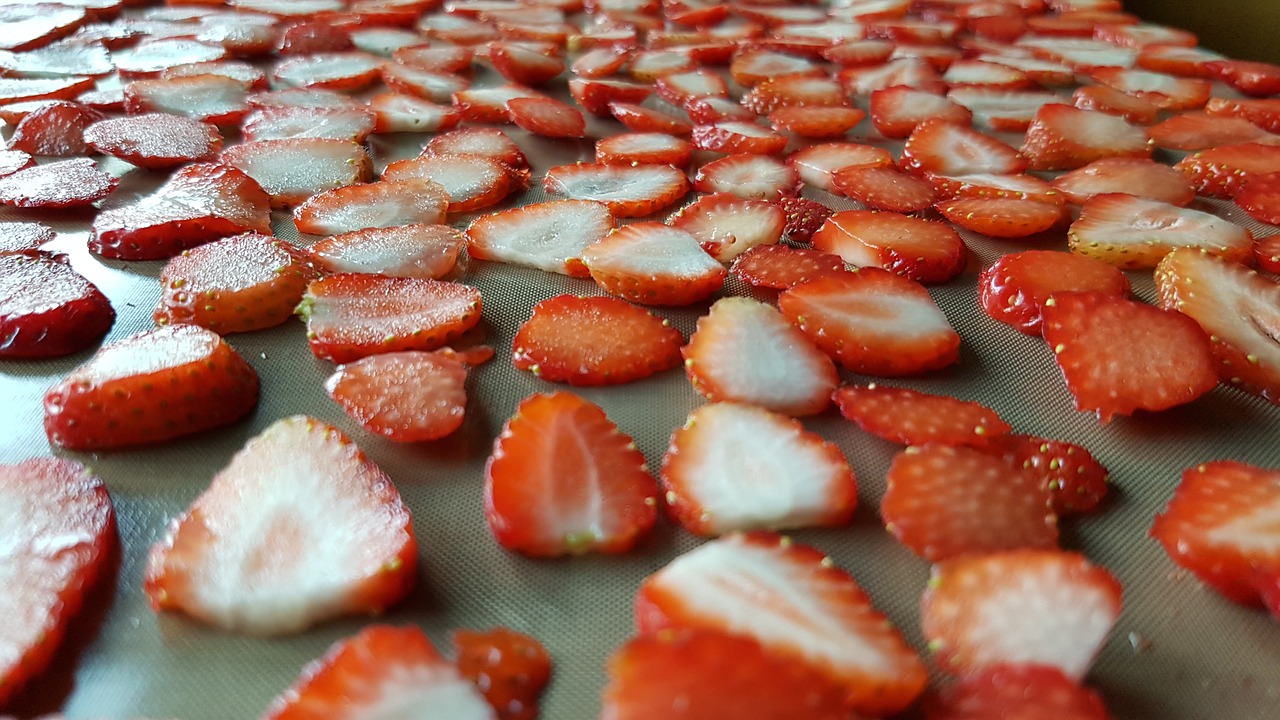 strawberries discs dried free photo