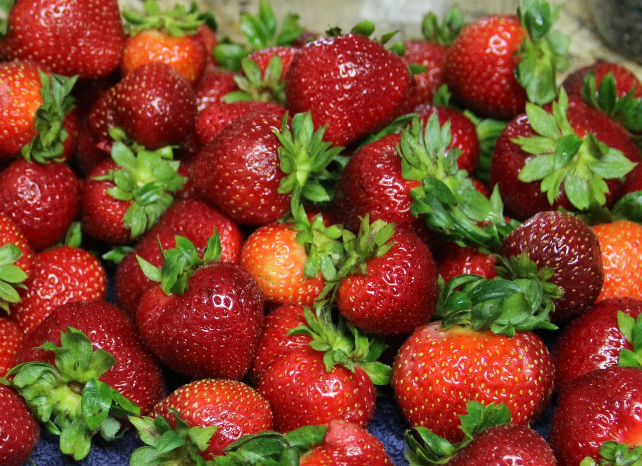 strawberries fruit healthy free photo