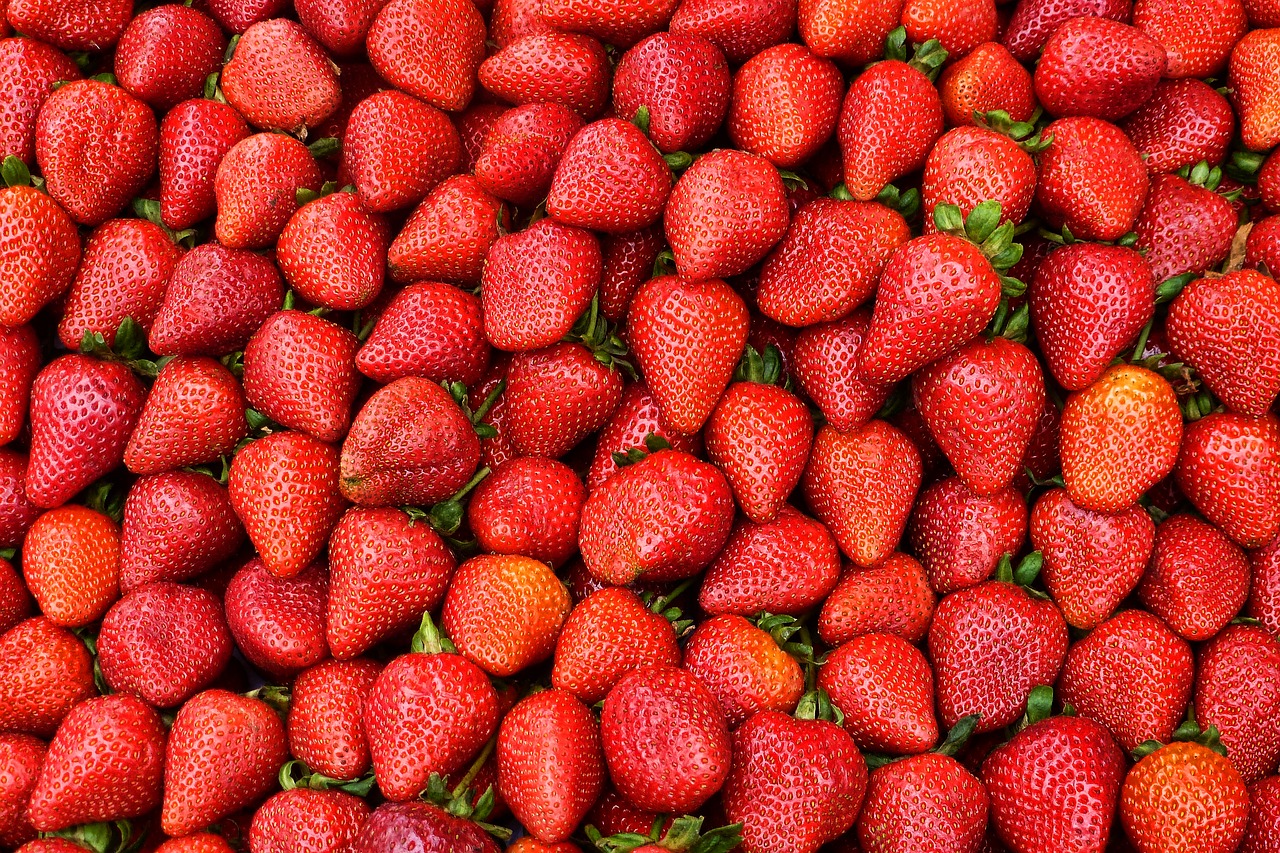 strawberries fruit food free photo