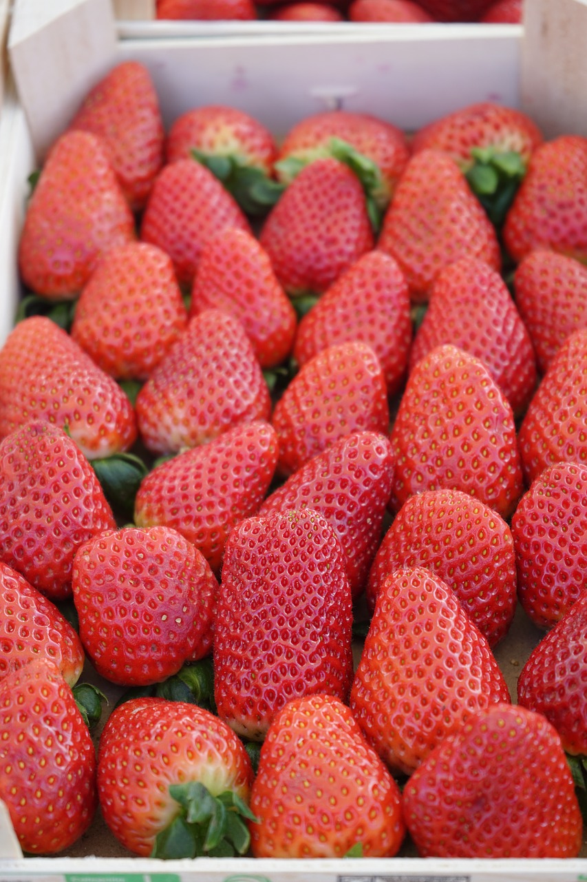 strawberries sweet red free photo