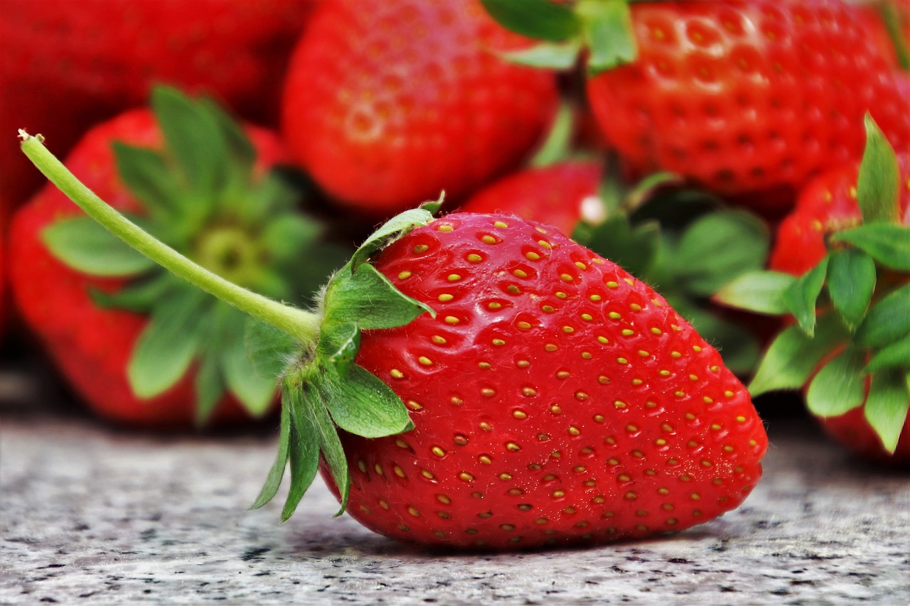 strawberries  fruit  season free photo